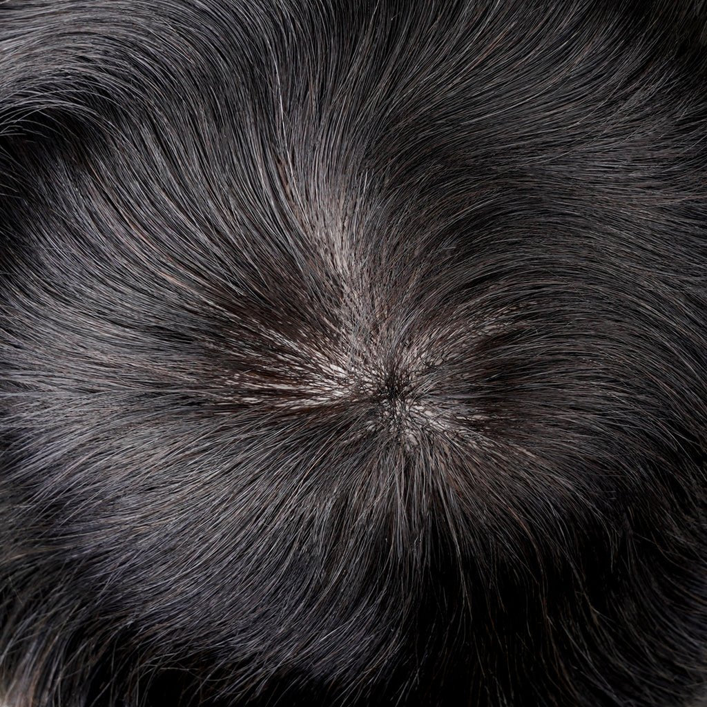 PHE - INF Lace Front Toupee Injected Skin and Diamond Lace - Pro Hair Edit