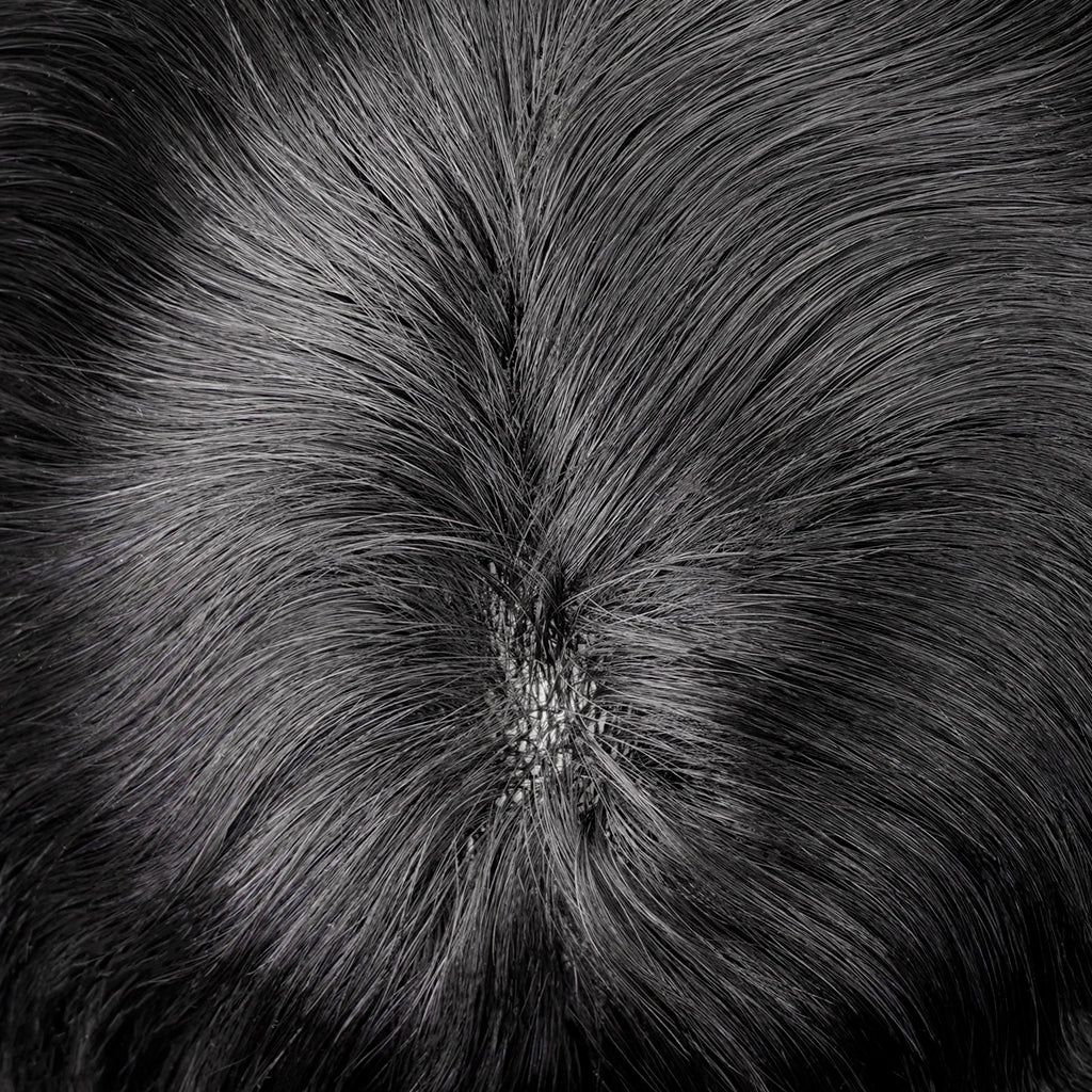 PHE - S27P Fine Mono Hairpiece With Skin Gauze Perimeter and Lace Front - Pro Hair Edit