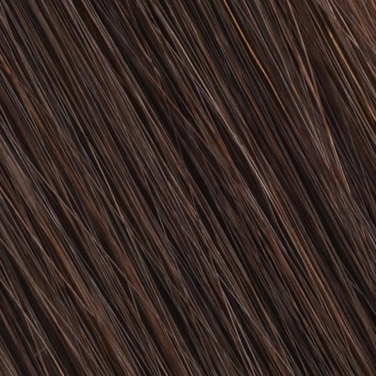 TEENA Fishnet Hair Topper With Silk Top - Pro Hair Edit